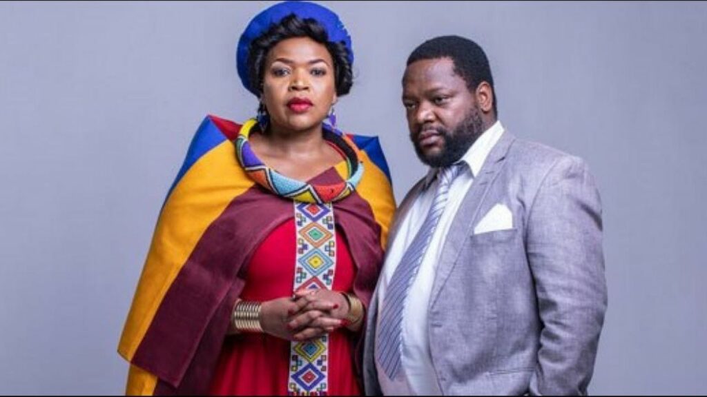 AmaNdebele asalela khulu ekorweni yakumabonakude 