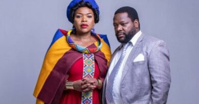 AmaNdebele asalela khulu ekorweni yakumabonakude 