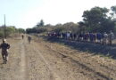 Amaphandle abuyiselwa eenarheni zabo athi akakhambi e SA unomphela