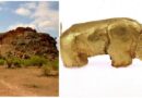 I-Mapungubwe: Ilifa lombuso wekadeni nehlathi lefihlo yeLimpopo